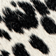 Close-up of black and white hair-on-hide.